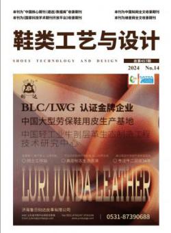 鞋类工艺与设计